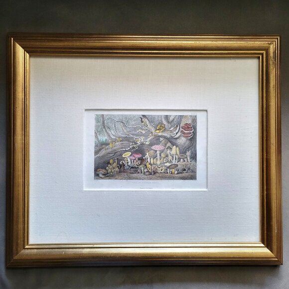 Rhind Other - Rhind Botanical History Vegetable Kingdom Hand Colored Bookplate Mushrooms 1855